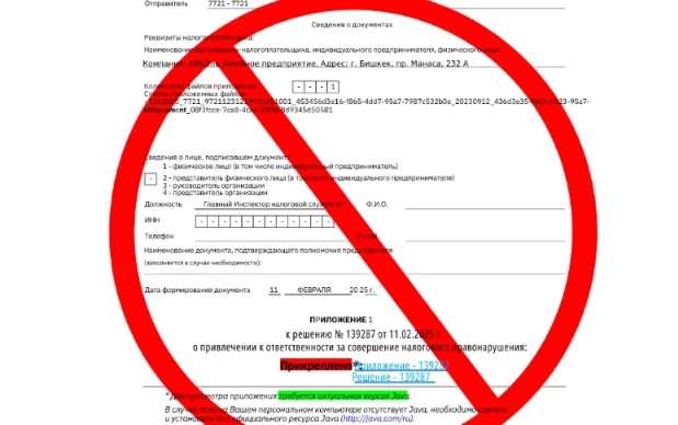Салык кызматы салык төлөгүчүлөрдү жаңы алдамчылык схемалары жөнүндө эскертет