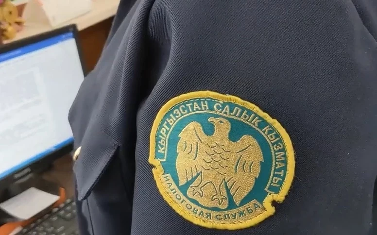 Салык төлөчүлөр документсиз товарлар тууралуу маалыматтарды 1-апрелге чейин киргизе алышат