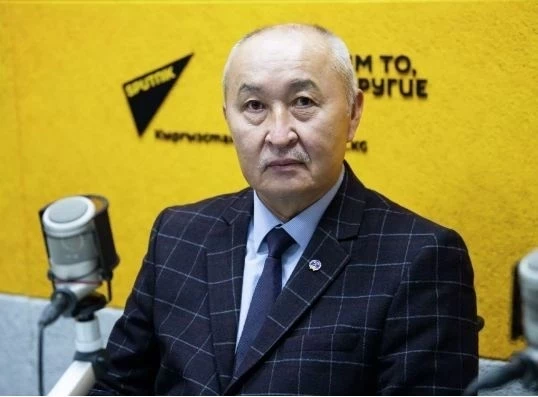 Кен өнөр жайы келечексиз болуу коркунучуна учурайт, - эксперт