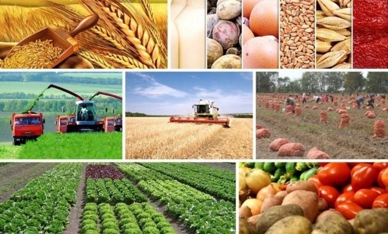 Тамак-аш продуктыларынын баасын байкоо Кыргызстан, Казакстан, Россия