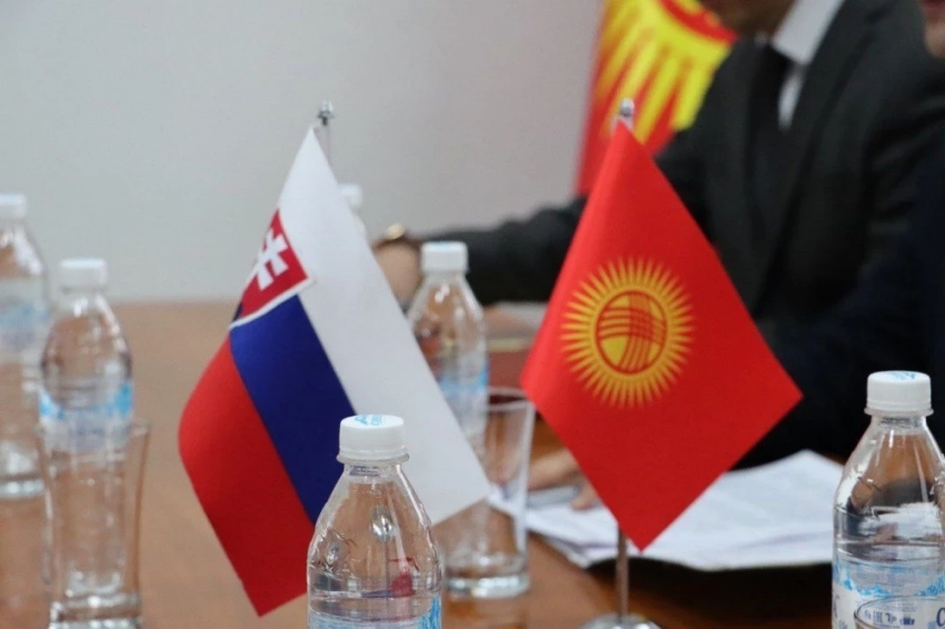 КР жана Словакия негизги тармактарда өнөктүктү өнүктүрүү боюнча макулдашты