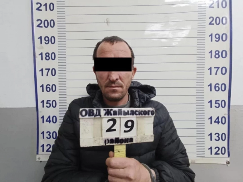 Сосновка айылында жашоочу коңшусун мал уурдагандыгы боюнча шектеп, өлтүрдү