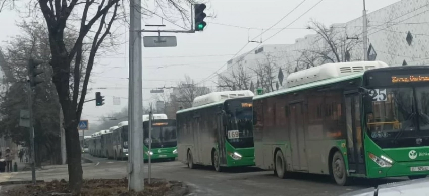 «Автобус айдоочуларын Дубайга бир жумага жиберүү керек»