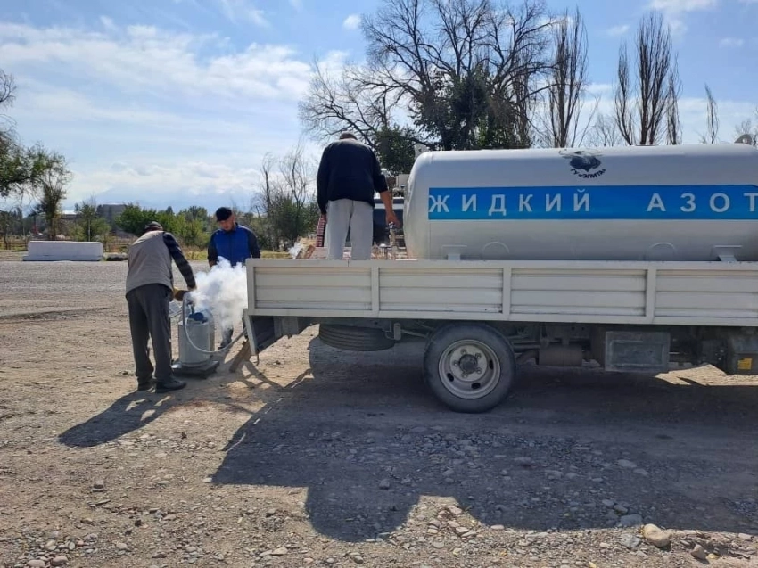 Суюк азот жана урук материалдары Кыргызстандын аймактарына жеткирилет