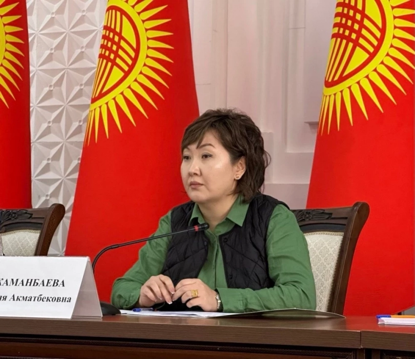 Сузак районунда 2024-жылы 5 өспүрүм апа болуп калды