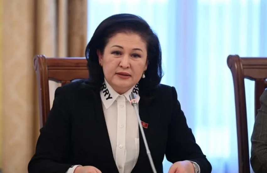 Экс-депутат ЖК Гулшаркан Култаева Борбордук шайлоо комиссиясынын мүчөсү болуп шайланды