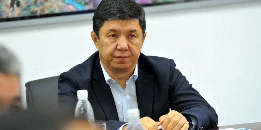 Темир Сариев: Бизге приватизация боюнча амнистия керек