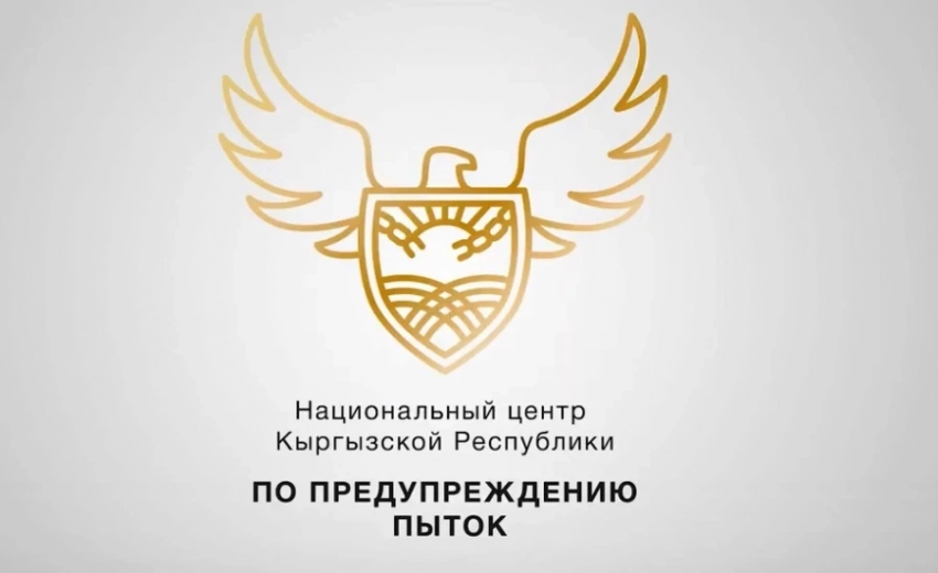 НЦПП депутаттын борборду омбудсмен менен бириктирүү сунушуна жооп берди