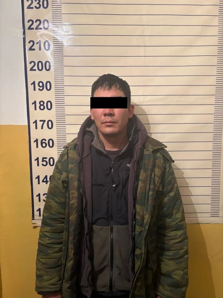 Чүй облусунун жайытынан аттар уурдалып, шектүү кармалды