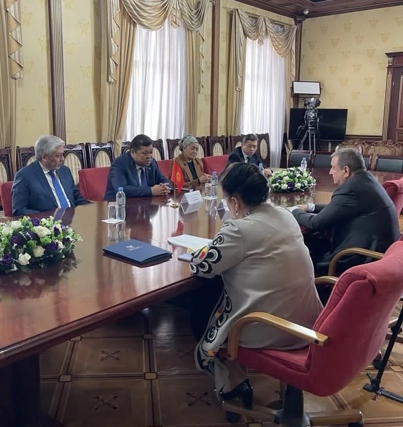 ЦИК өкүлдөрү Тажикстандагы шайлоо мониторингине катышууда