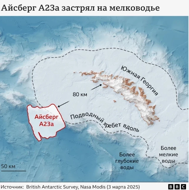 Дүйнөдөгү эң чоң айсберг Антарктика боюнда мелига отурду. Бул кимге жана эмне менен коркунуч туудурады?