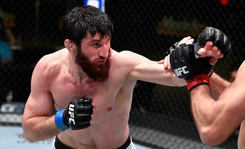 Магомед Анкалаев UFC рекорду адамы Алекс Перейрадан титулду алды