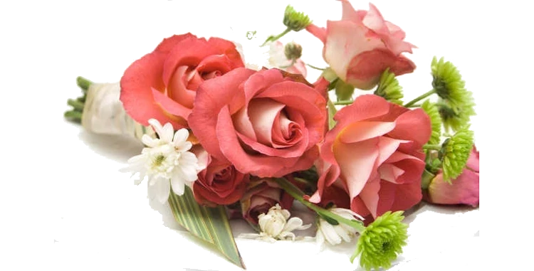 Жыл сайын Кыргызстанга 2 миллион гүл импорту болууда