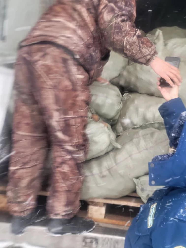Кыргызстанга Монголиядан 20 тонна картопту киргизүүгө уруксат берилген жок