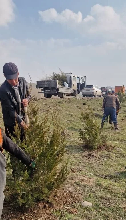 Автожолдордун жээгиндеги жол куруучулар дарактарды отургузушууда