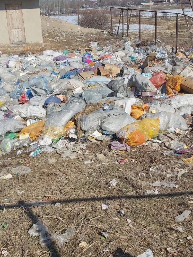 Экология министрлиги өлкөдөгү айрым айылдарды жазага тартты