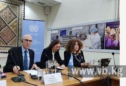 Фолькер Тюрк Кыргызстандагы блогерлердин, адвокаттардын жана ЖМКнын эркиндиги жөнүндө маалыматын билдирди
