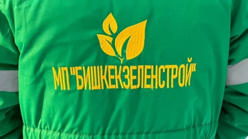 «Бишкекзеленстрой» кызматкерлерине кылмыш иши козголду