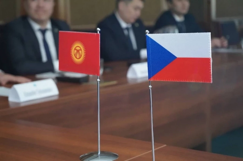 Салыктык Кыргызстандын Эстония жана Чехиядан санариптештирүүнү үлгү алууда