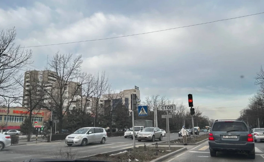 «Восток-5» бөлүп турган тилкеден ёлкаларды жана коргоону алып салды. Алардынын ордуна эмне пайда болот?