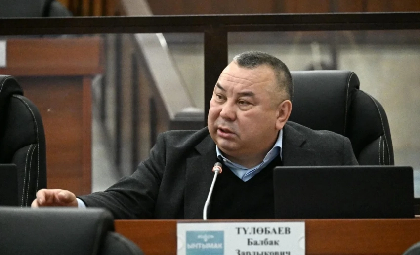 Балбак Тулобаев: Тажикстан менен мамлекеттик чек ара маселелеринде Кыргызстан жеңилди деген пикир - чоң жаңылыштык
