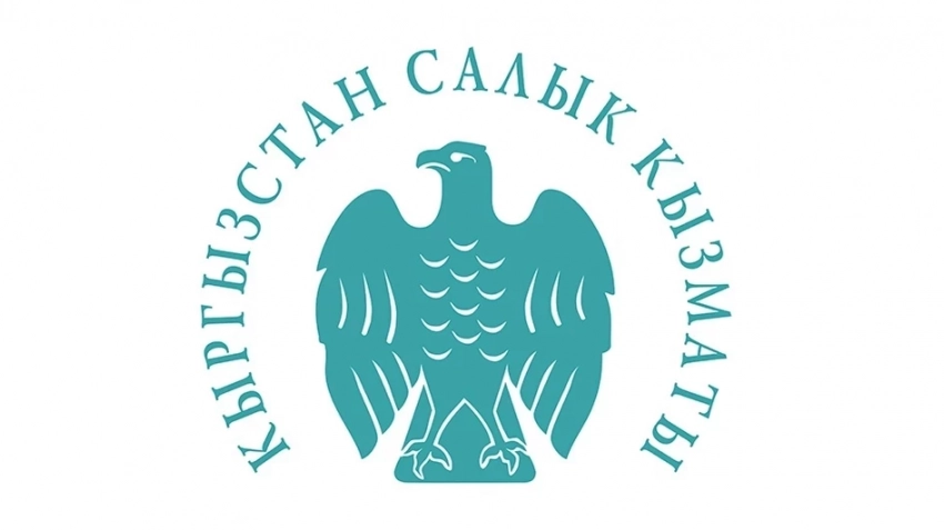 Кыргызстандан салык кызматы: Эсепке алынбаган товарды онлайн легалдаштырууга 1-апрелге чейин мүмкүн