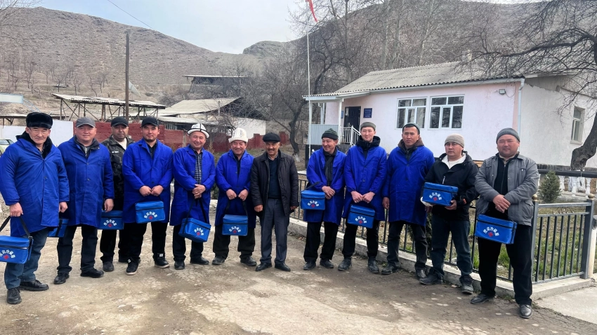 Кыргызстанда малдын жазгы вакцинасын жүргүзүү