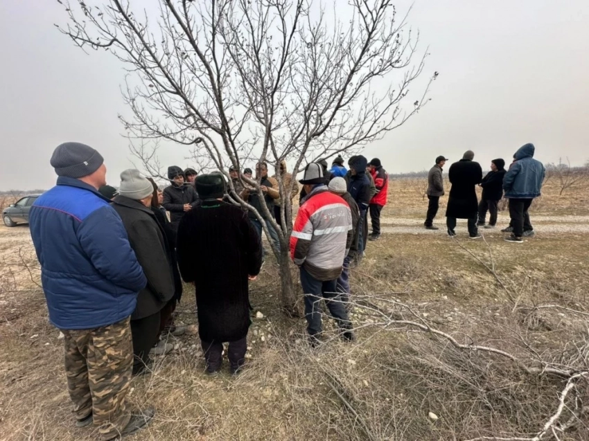 Ноокат районунда Оштун облусунда дарактарды кыркууга арналган семинар өткөрүлдү