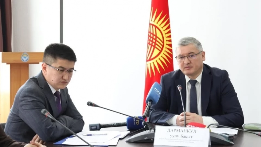 Эмгек министринин орун басары: 600 миң кыргызстандык чет өлкөдө