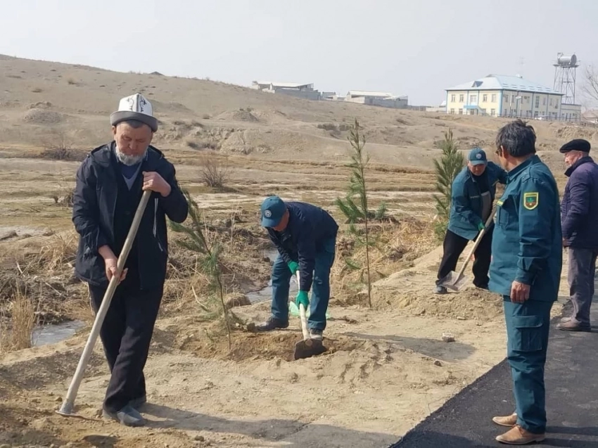 Баткенде апрель революциясынын күнү үчүн карагайлар тигилди