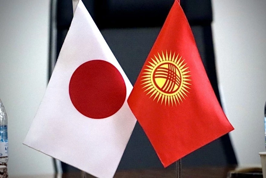 КР экономика министринин орун басары Япониянын элчиси менен экономикалык өнөктөштүктү талкуулады