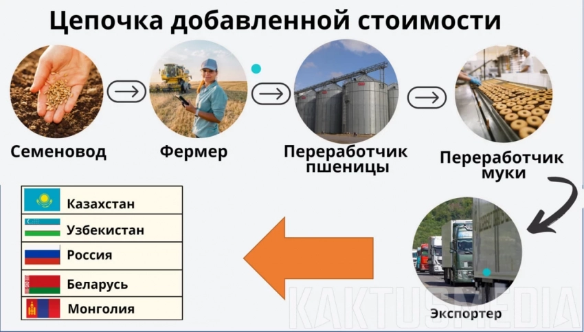 Россияда астық түшүмү жок. Кыргызстанда нан жана ун кымбаттайбы? (видео)