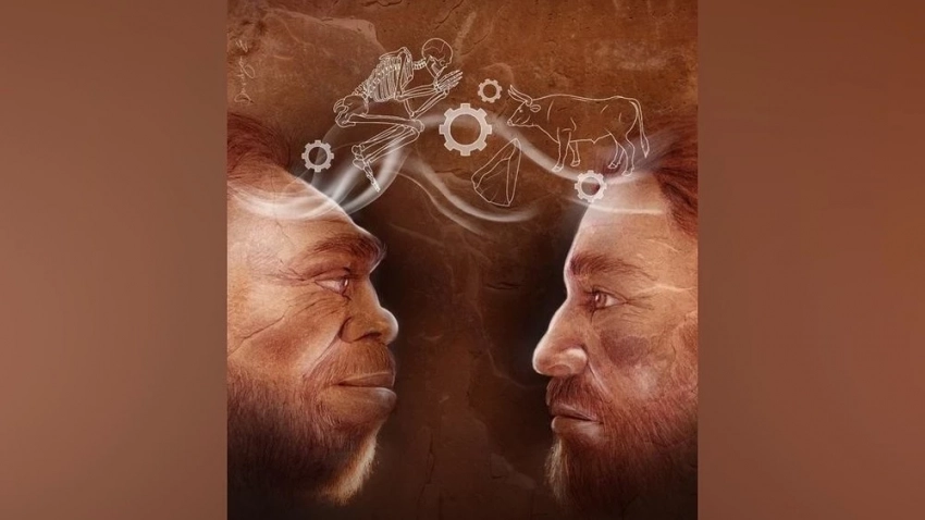 Илимдер неандертальдар жана Homo sapiens технологияларды, жашоо стилин жана көмүү салттарын активдүү алмашканын тапты