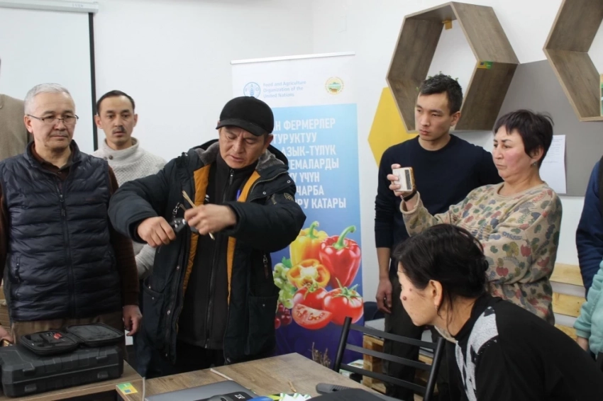 ФАО Кыргызстандын фермерлерин семеналарды туура тандоого үйрөтүүдө