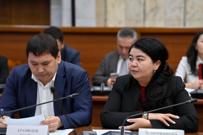 Жогорку Кеңеште билдирүү каралды, ал маалымат каражаттары жана балдарды коргоо боюнча чараларды камтыйт