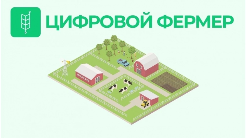 "Цифрлык дыйкан 2025" форуму Бишкекте 3-4-апрелде өтөт