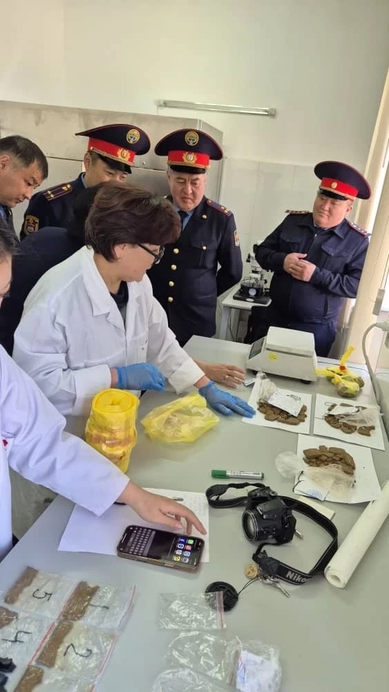 Соттук экспертиза кызматкерлери СБНОН жетекчилери үчүн практикалык машыгуу өткөрүштү