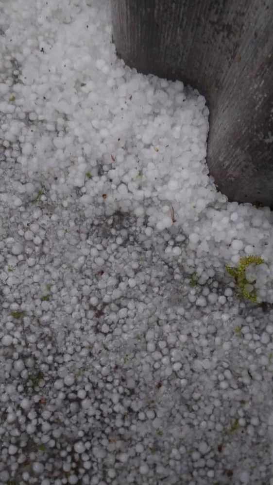 Күчтүү кыр грозы Бишкекти каптады (видео)