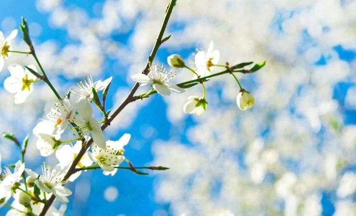 Май майрамдарында жумуш жана компенсациялар боюнча КРнын Эмгек министрлигинен маалымат берилди