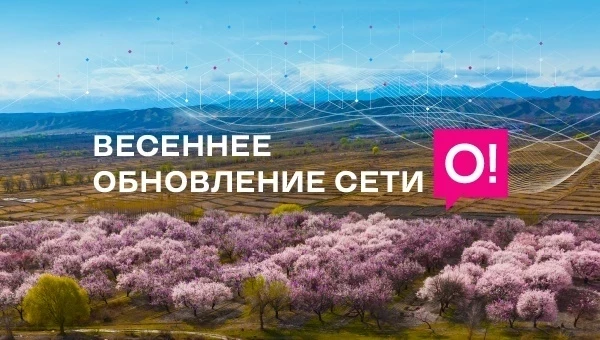 Көктөмкү жаңылануу: О! тармагы Кыргызстан боюнча дагы күчтүү болуп калды