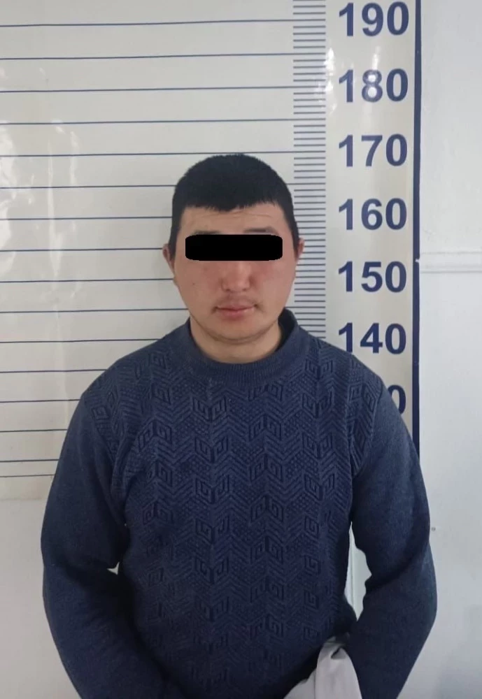 Токмокто унаа уурдалган деп шектелген адам кармалды