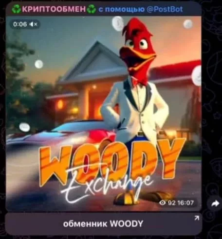 Кыргызстанда «Woody Exchange» криптообменчиси транснационалдык наркогруппировкага жардам бергени боюнча шектелүүдө