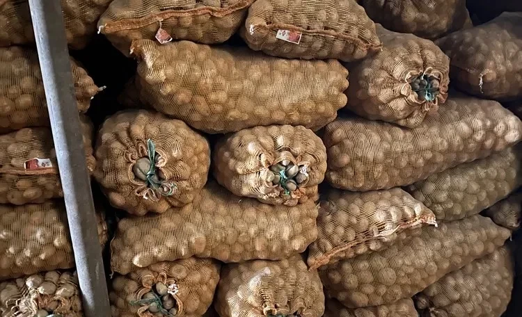 Картошка баасы көтөрүлбөйт, кыргызстандыктарды Министрлер кабинети тынчтандырды