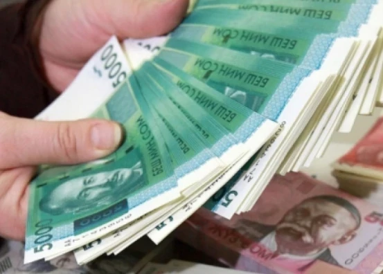 ИНФОГРАФИКА. Кыргызстандагы калкты микрокаржылоодо 2024-жыл