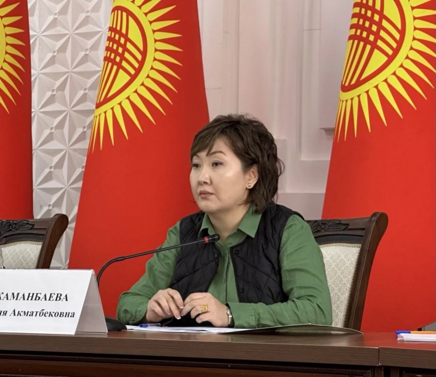 Акыйкатчы КР психикалык оорулары бар адамдардын укуктарын коргоо үчүн мамлекеттик органдарды чакырды