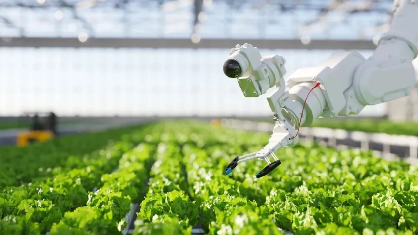 Grow Indigo $10 миллион тартты, Индияда углероддук айыл чарбасын өнүктүрүү үчүн