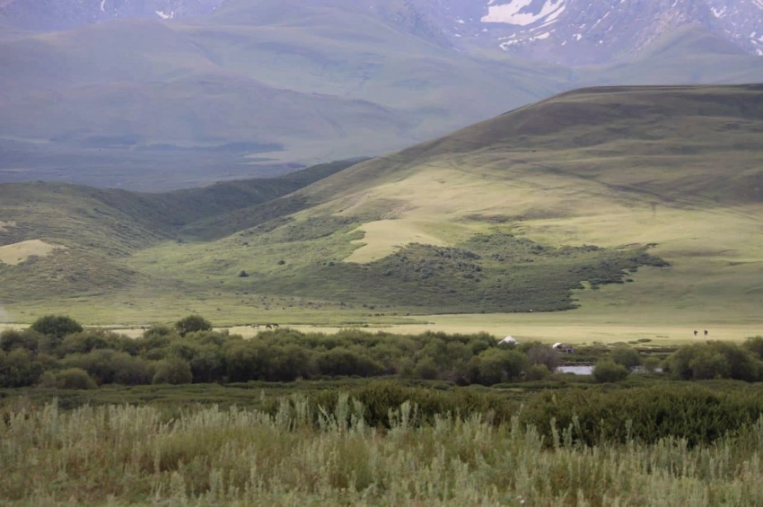 Кара-Суй районунда мамлекетке мыйзамсыз жеке адамдарга берилген жайыттар кайтарылды