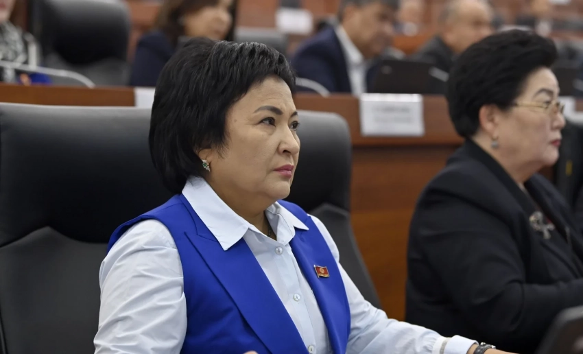 Эгер парламентти аял-депутат таштап кетсе, анын ордуна жалаң аял келиши мүмкүн - Тынчтык Шайназаров жаңы шайлоо мыйзамы жөнүндө