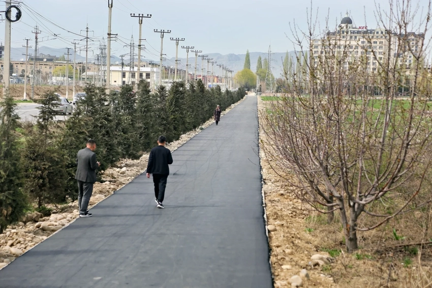 Ош шаарында Б. Осмонов көчөсүндө тротуар жана веложол курулууда