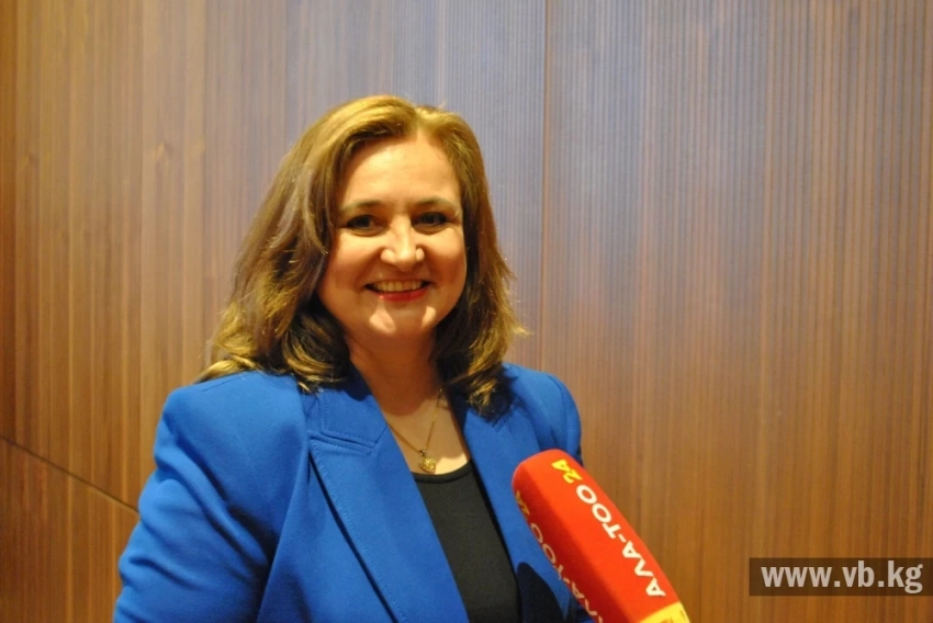 Гордана Фай: Кыргызстандын тургундары Луврдын жаңы долбоору менен таанышышат